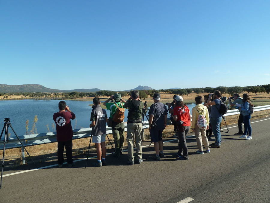 Una salida guiada organizada por Adicomt. 