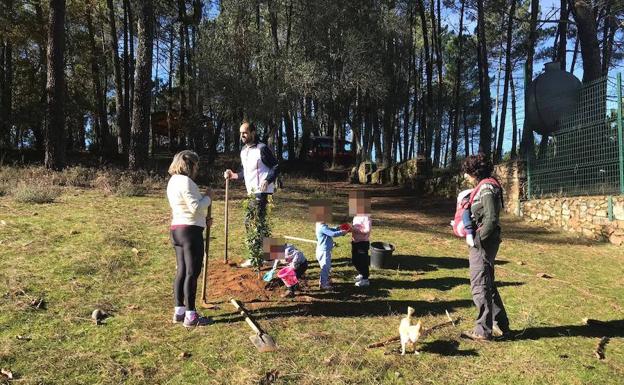 Durante la útlima plantación de Cúriga en Monesterio 