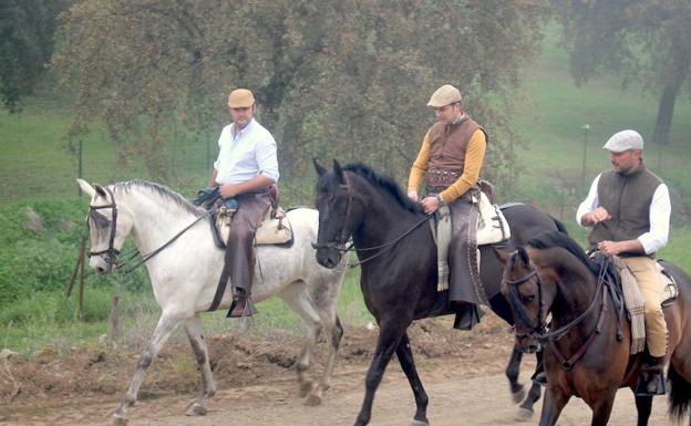Caballos en el camino de Cala 