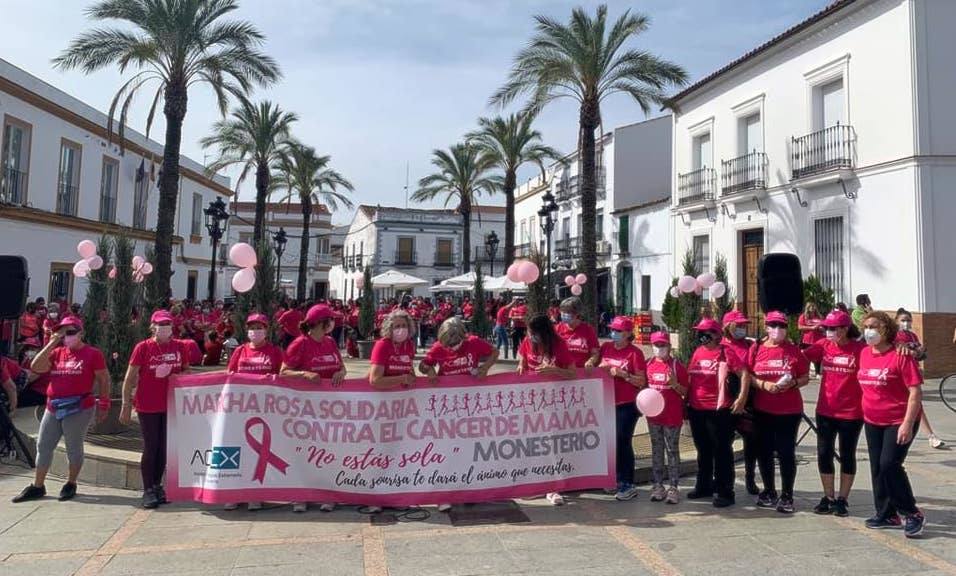 La marea rosa, a la llegada a la Plaza del Pueblo tras la marcha 