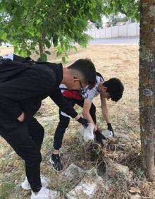 Imagen secundaria 2 - Algunos de los puntos en los que se han recogido residuos esta mañana en Monesterio 