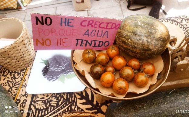 Imagen principal - Carteles reivindicativos de la falta de agua y aceite de la Cooperativa de San Isidro, que pudo degustarse 