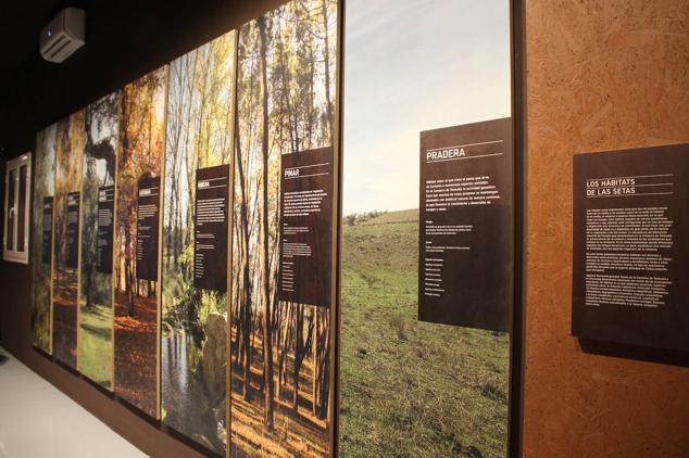 Es el primero de la región de estas características 