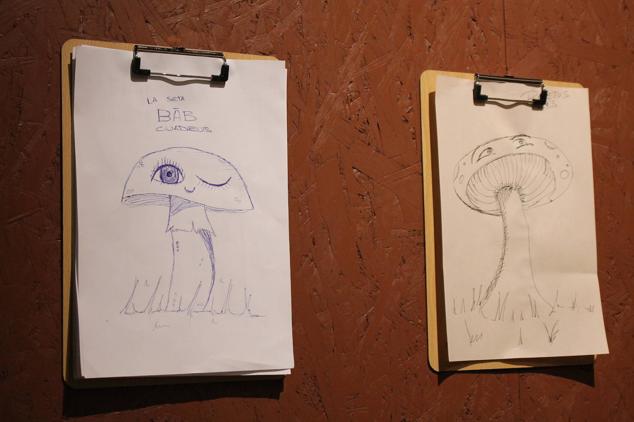 Es el primero de la región de estas características 