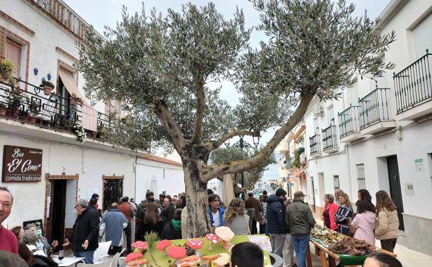 Imagen principal - Algunos momentos de la exposición de setas 