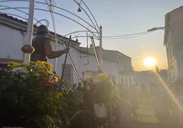 Imagen de San Isidro Labrador por las calles de Monesterio arropado por los romeros