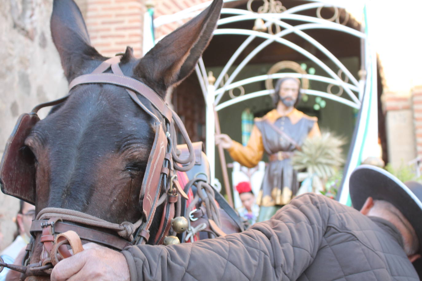 Fotos| Procesión de San Isidro por las calles de Monesterio 2024