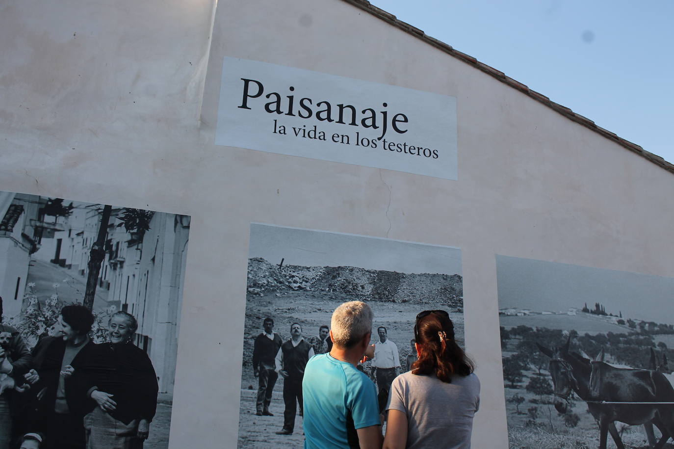Fotos| Inauguración de 'Paisanaje. La vida en los testeros' de Monesterio