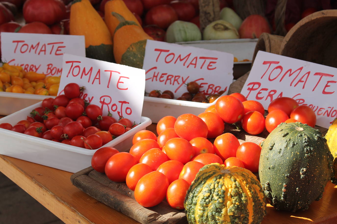 Gran variedad de tomates