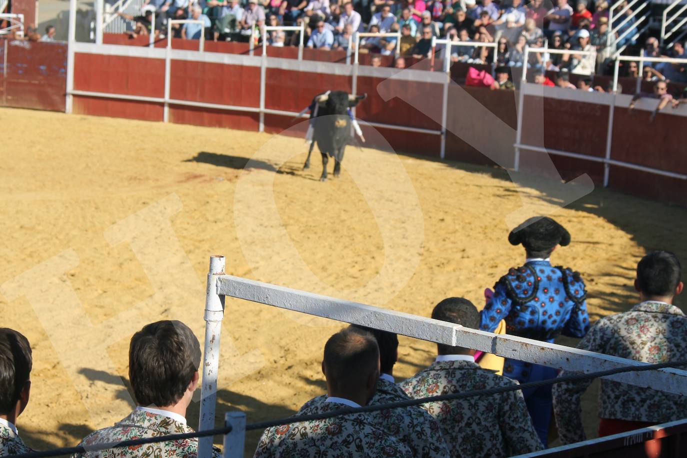 El Festejo Taurino de Monesterio homenaje a Eulalio Murillo, en imágenes