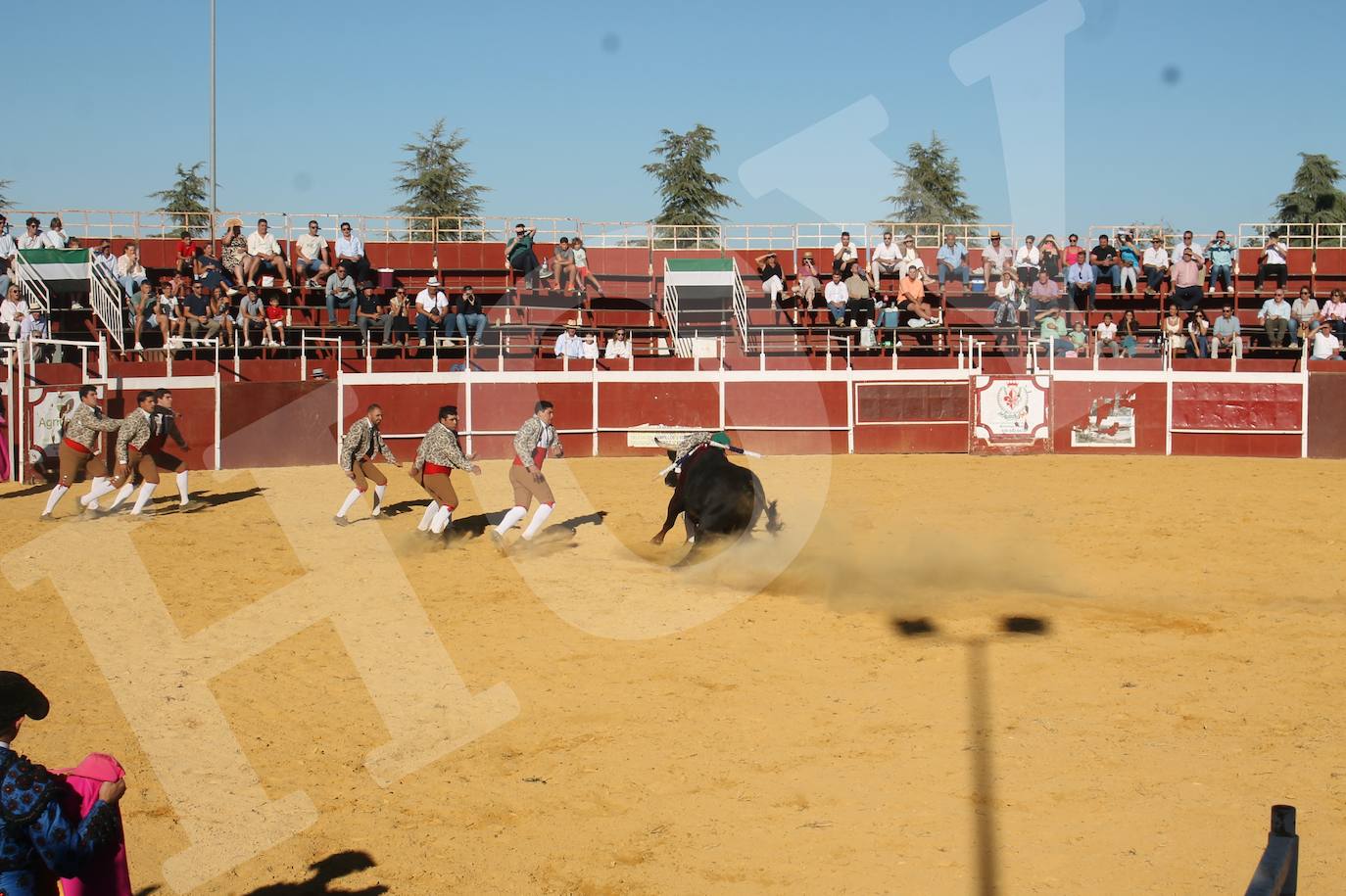 El Festejo Taurino de Monesterio homenaje a Eulalio Murillo, en imágenes