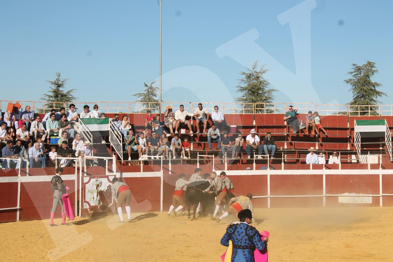 El Festejo Taurino de Monesterio homenaje a Eulalio Murillo, en imágenes