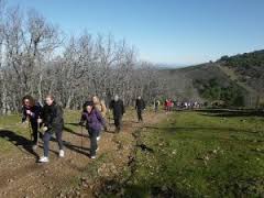 Ruta de senderismo por la Sierra de Aguafría, El Castillo y el paraje de Los Cotos de Monesterio