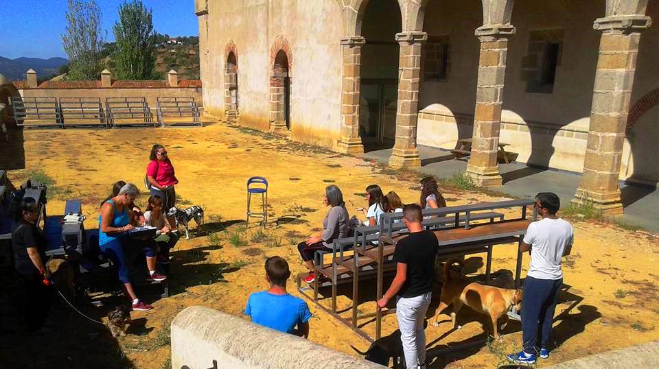 Participantes en la actividad con sus mascotas 