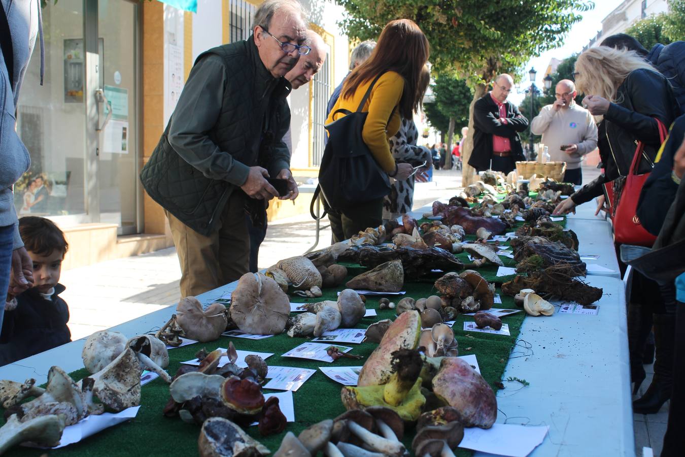 Exposición de especies recolectadas 