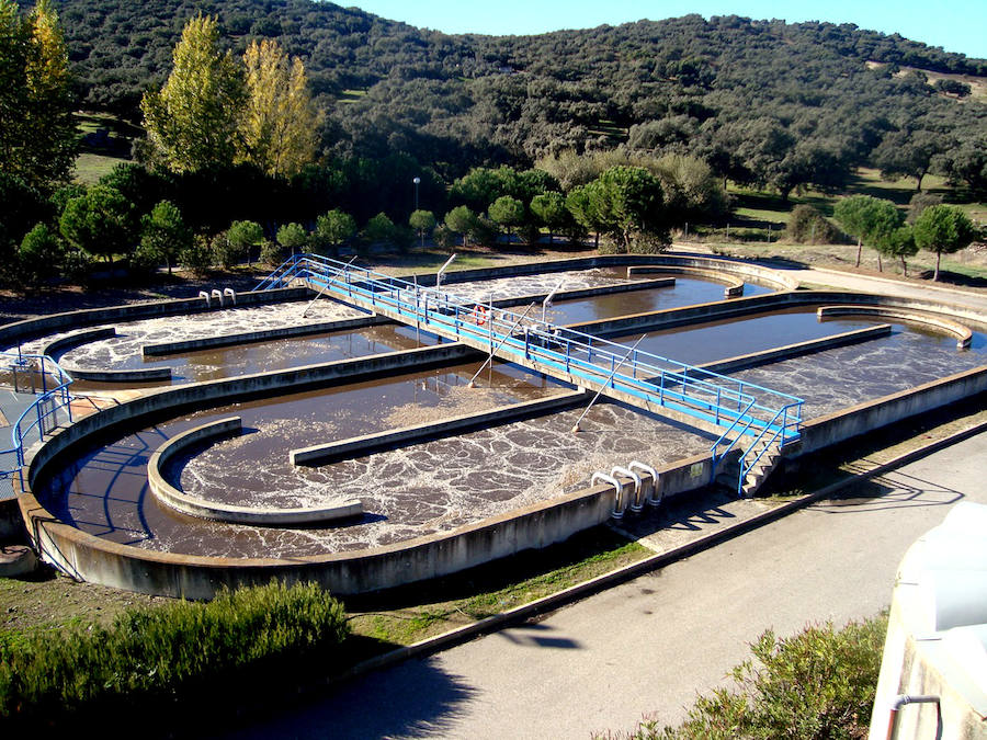 ¿Qué puedes hacer para facilitar la depuración del agua?