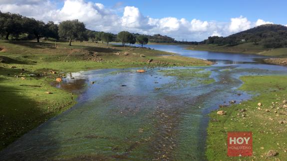 Una de las entradas de agua a Tentudía, este jueves 