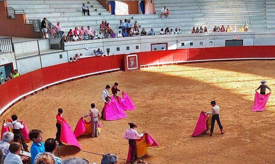 Mucho calor y mucho público en la calle, en las plazas, en bares y en terrazas y en la mayoría de las actividades realizadas. Así se podrían resumir, a grandes rasgos, las fiestas de San Miguel, aunque lógicamente cada uno hará su propio balance en función de lo que haya disfrutado. Porque también hay quien se queja del exceso de ruidos, de la acumulación de basuras y de la falta de civismo. Repasamos las fiestas en casi 30 fotografías, aunque podrían ser muchas más.