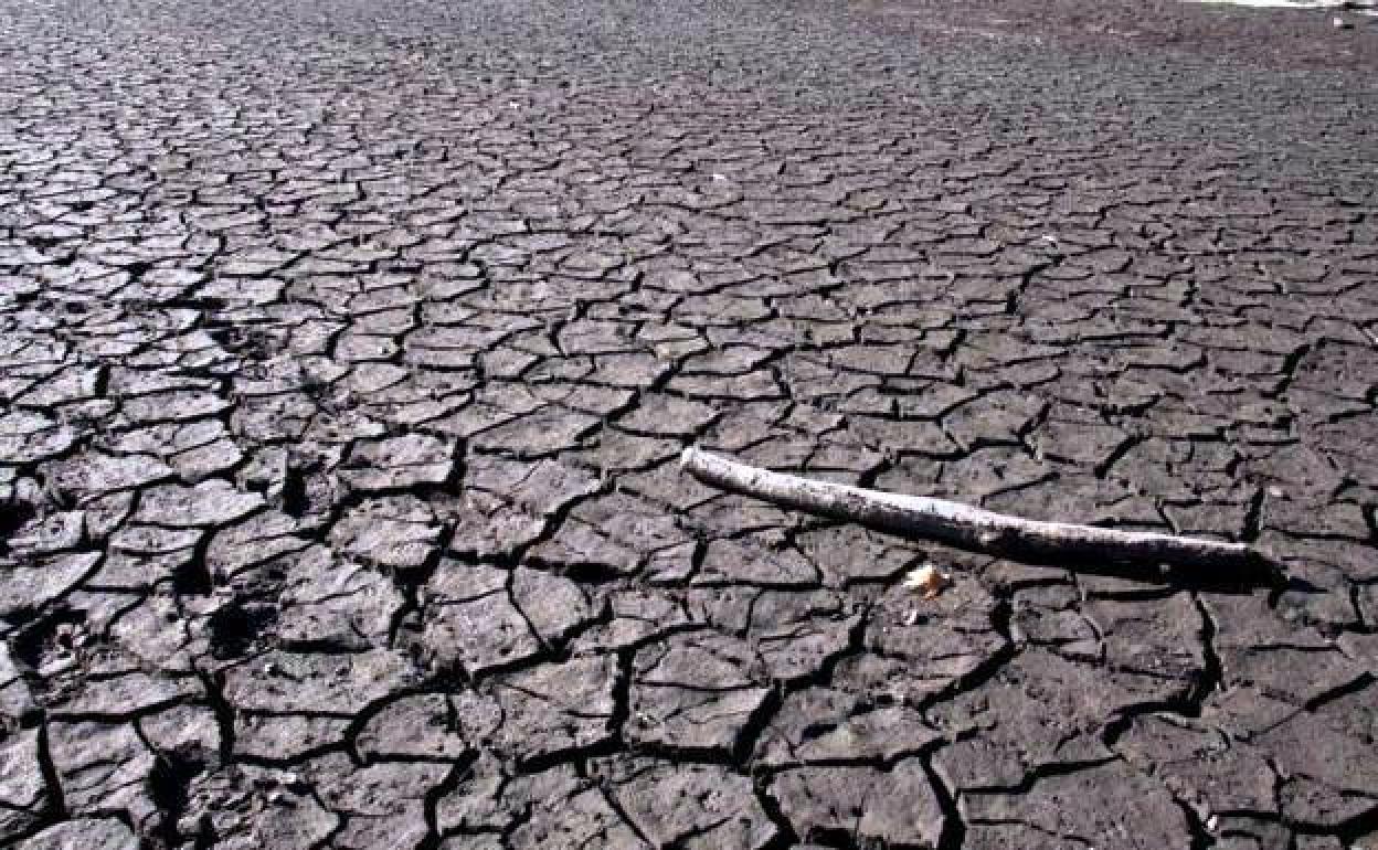 El año hidrológico 2018-2019 nos trae menos lluvia de lo habitual