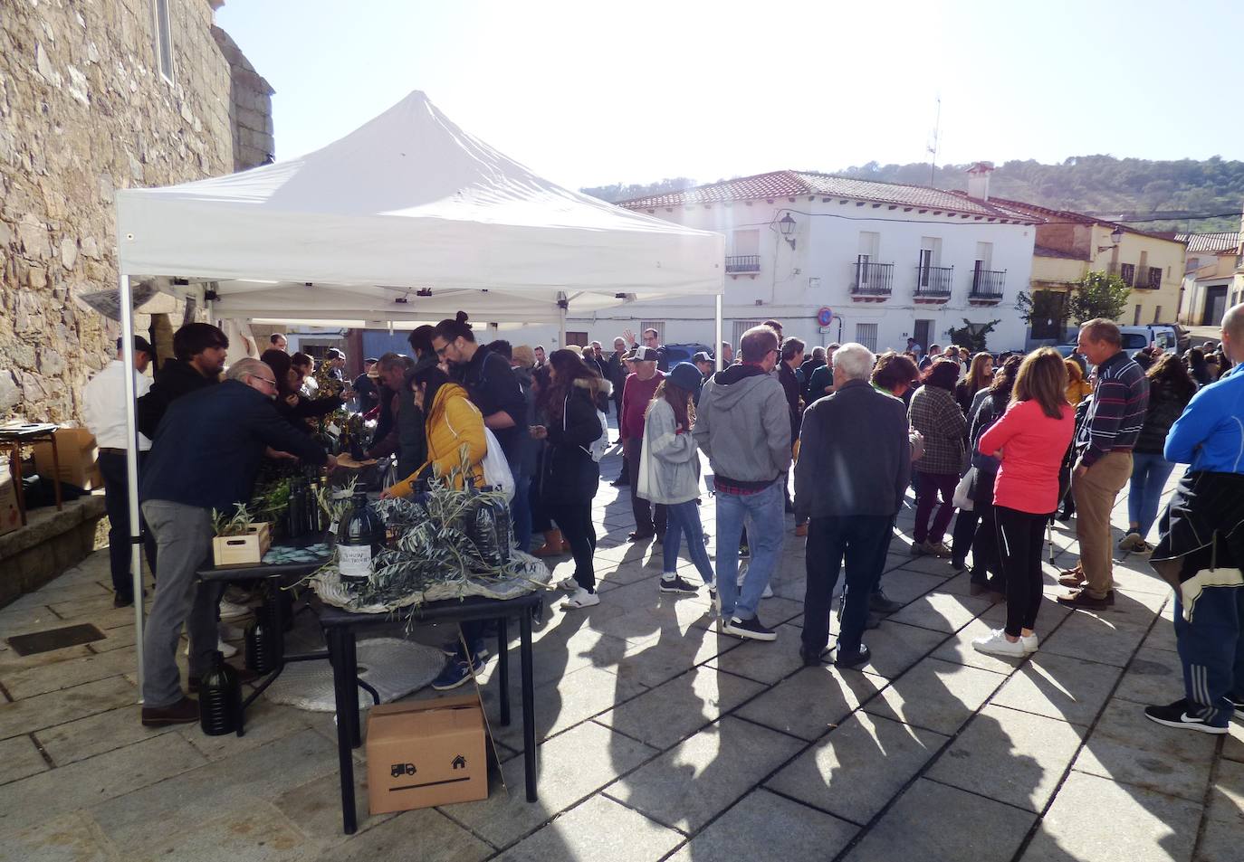 Fotos: Peraleda de San Román vive una jornada alrededor de la aceituna y el aceite de oliva