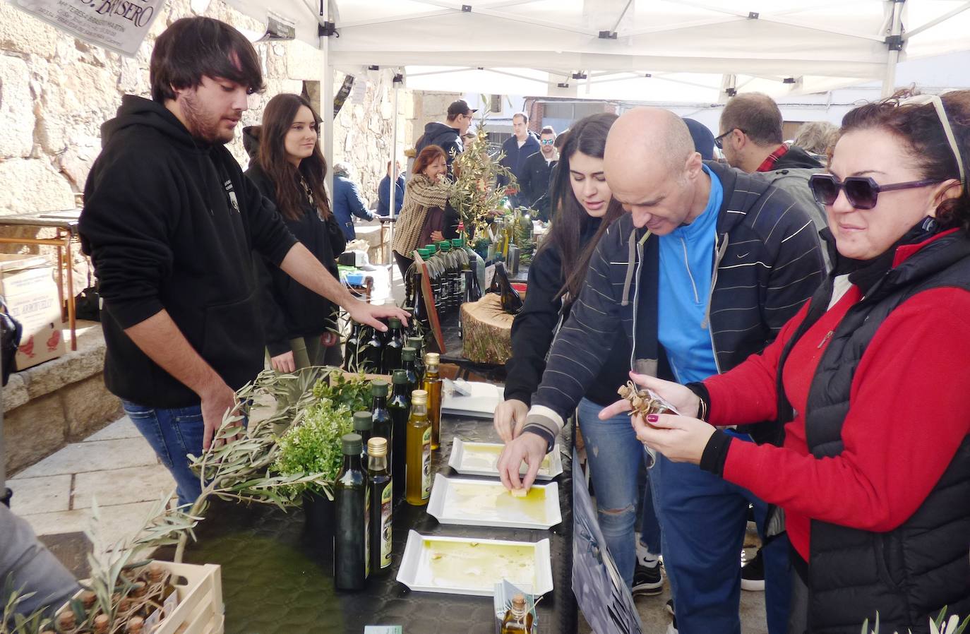 Fotos: Peraleda de San Román vive una jornada alrededor de la aceituna y el aceite de oliva