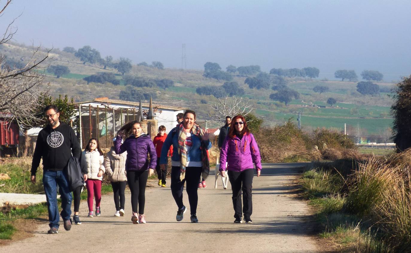 Fotos: Peraleda de San Román vive una jornada alrededor de la aceituna y el aceite de oliva