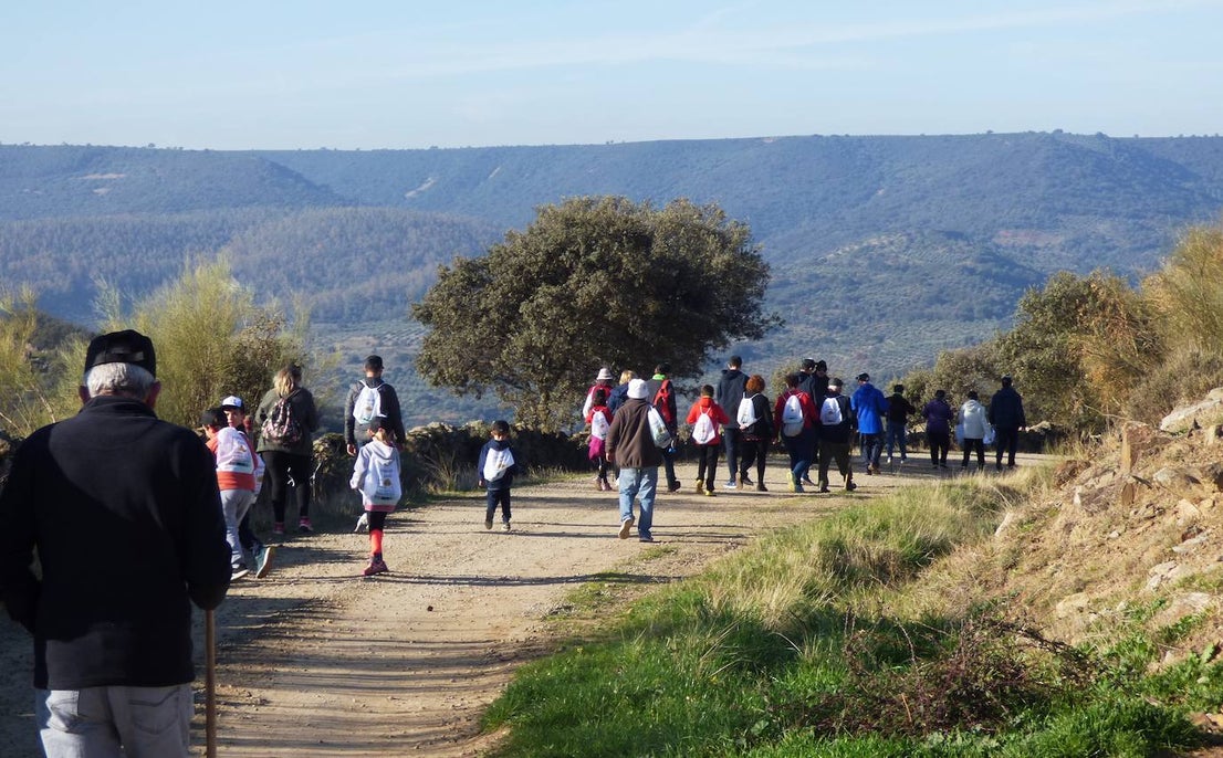 Fotos: Peraleda de San Román vive una jornada alrededor de la aceituna y el aceite de oliva