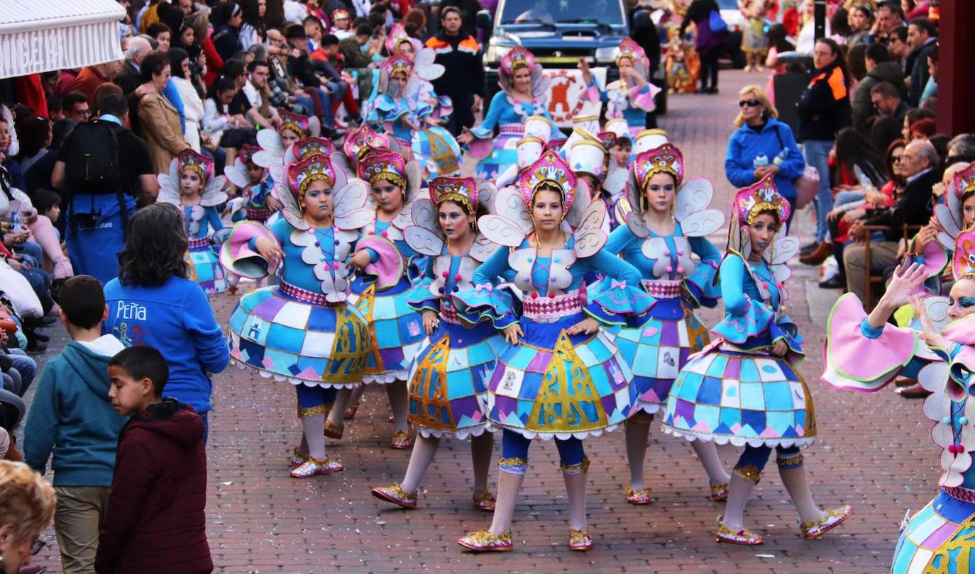 Fotos: Desfile de carrozas y comparsas