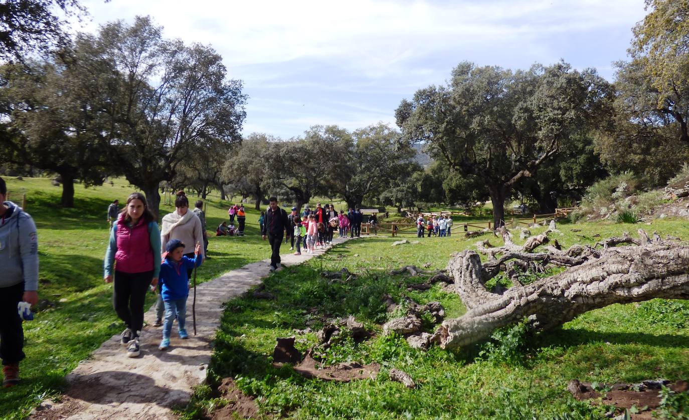 Fotos: I Convivencia de Naturaleza