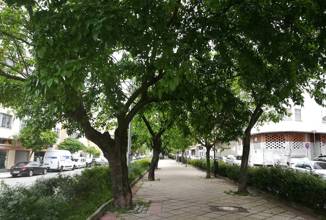 Fotos: Imágenes de un mes de confinamiento