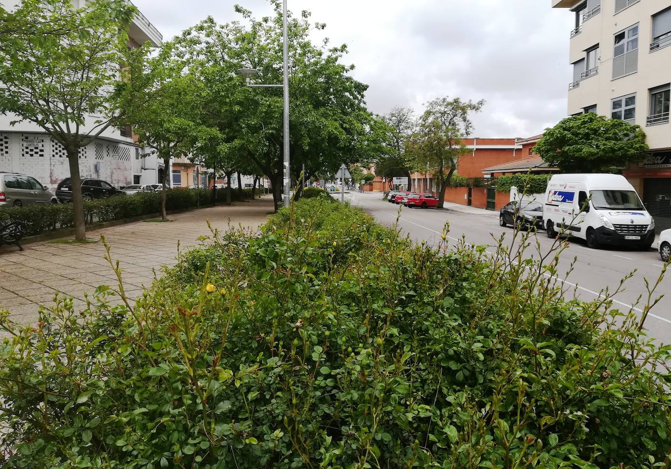 Fotos: Imágenes de un mes de confinamiento