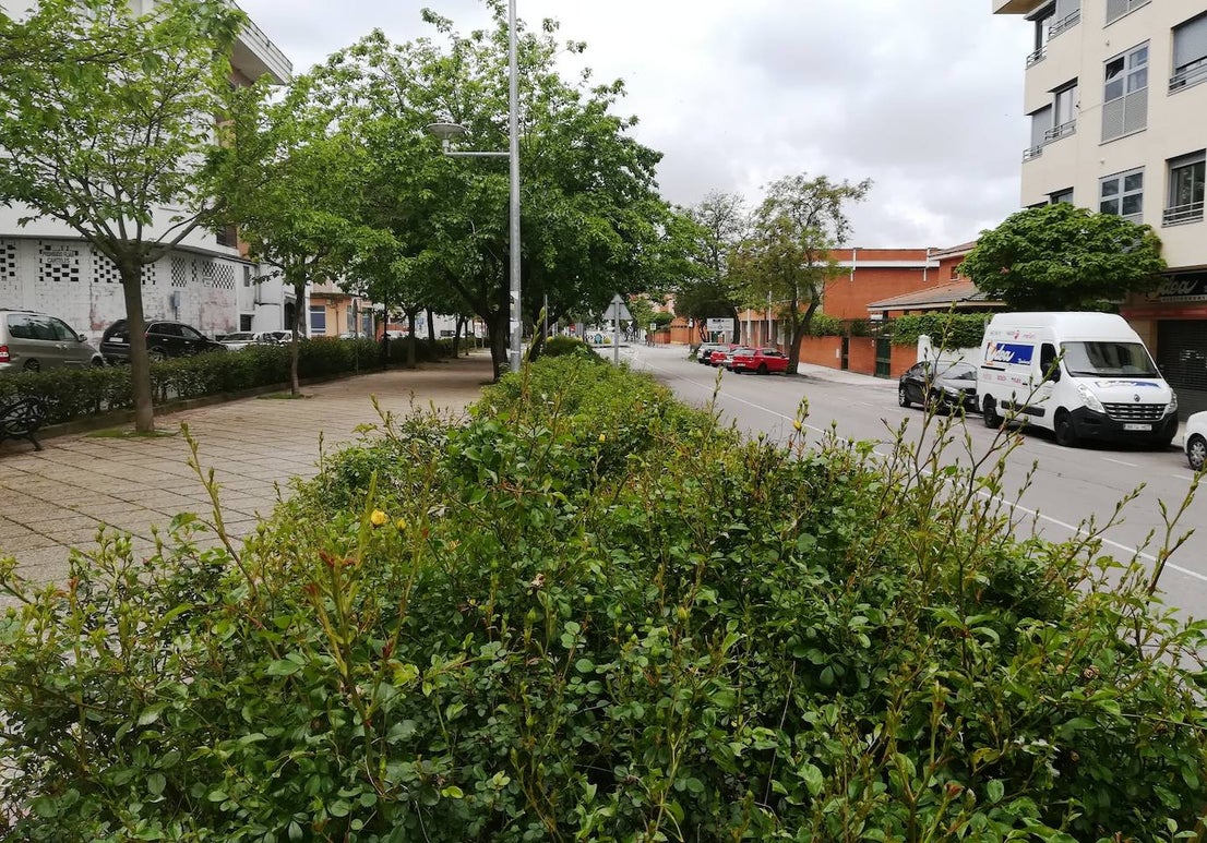 Fotos: Imágenes de un mes de confinamiento