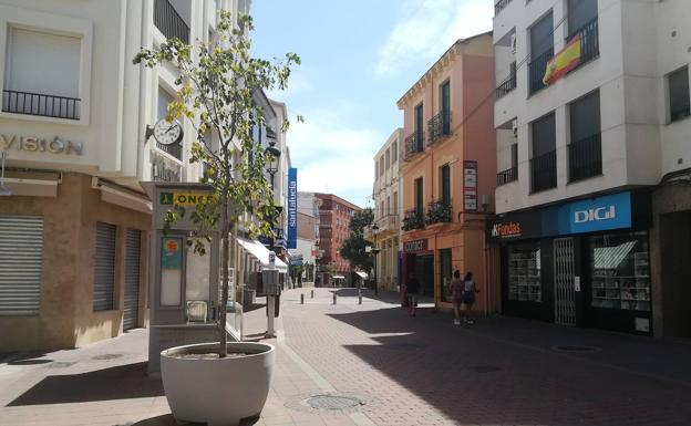 Uno de los macetones situados en la zona peatonal 