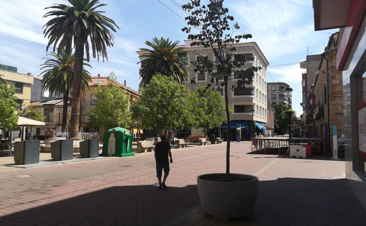 El portavoz municipal hace un nuevo llamamiento para respetar el arbolado y el mobiliario urbano