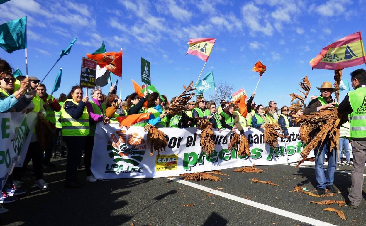 Protesta del sector tabaquero en la autovía A-5 a primeros de año 