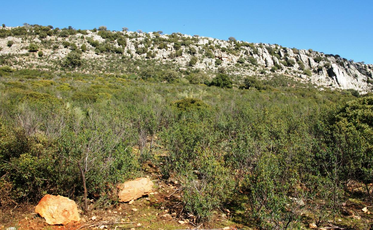 Almaraz promueve la ecología con una semana de actividades
