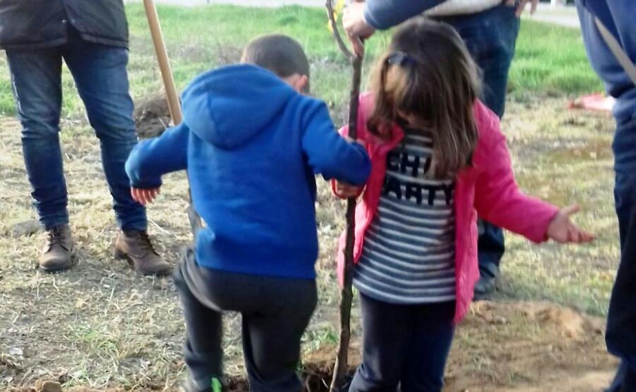 Plantación y ruta senderista en el Día Mundial del Medio Ambiente