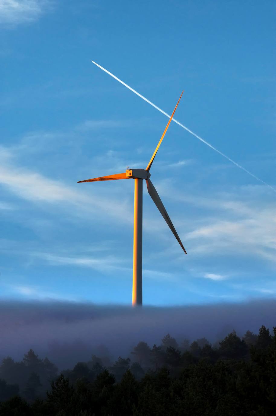 'Esperando a don Quijote', de Alberto Piedra 