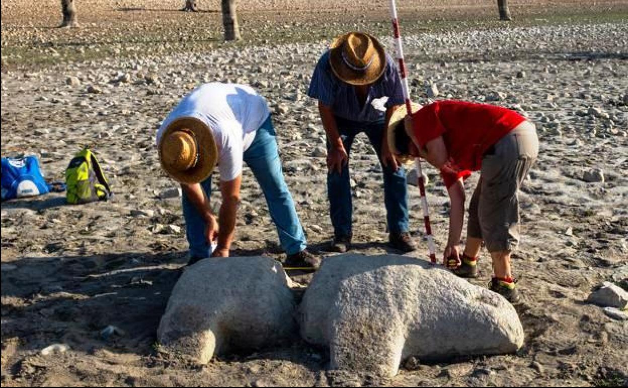 Esculturas de verracos se suman a los hallazgos del embalse de Valdecañas