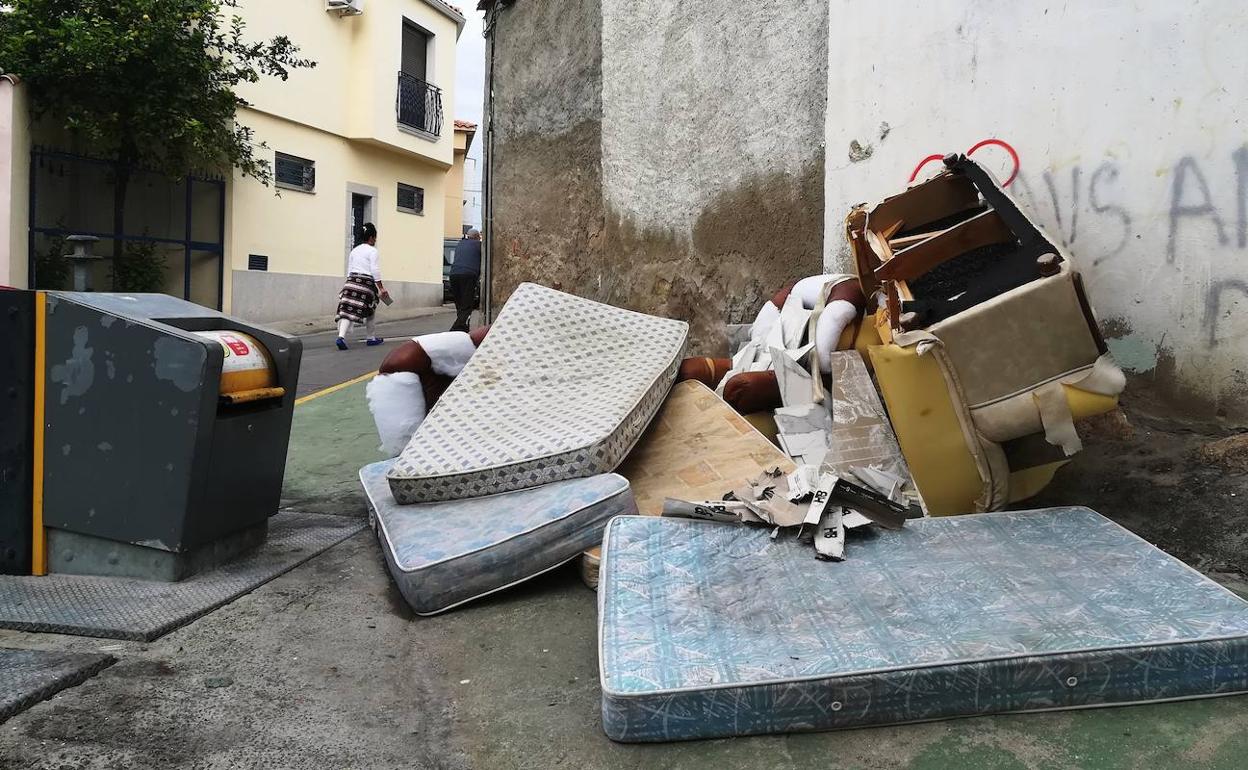 Ciudadanos pide reunir a todos los grupos municipales para tratar el problema de la basura