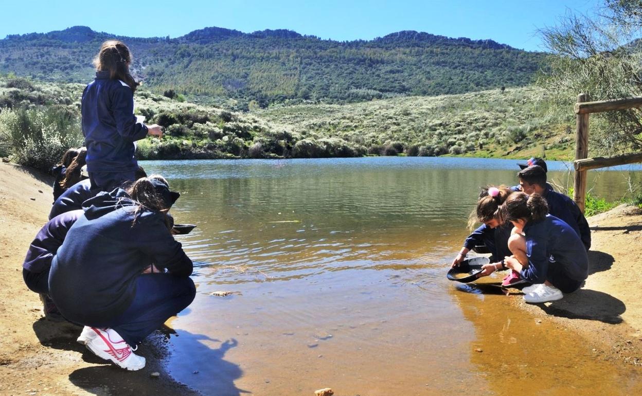 Taller de bateo de pirita 