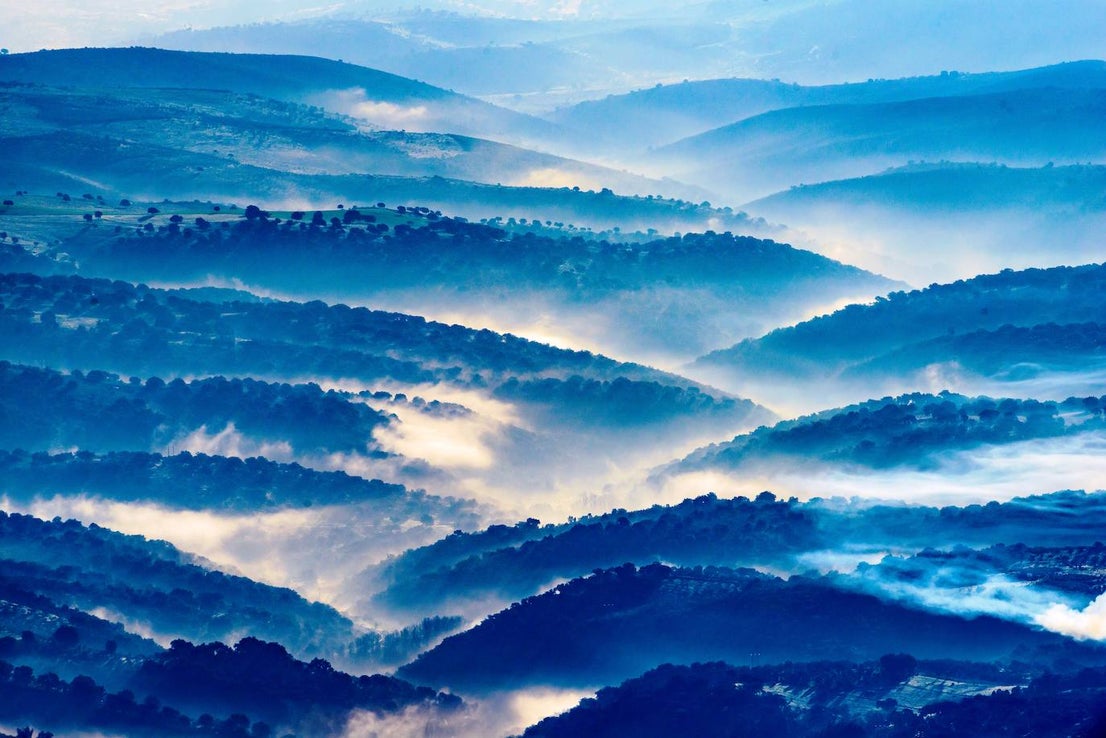 Fotos: La naturaleza en fotografías de Rafa Ruiz