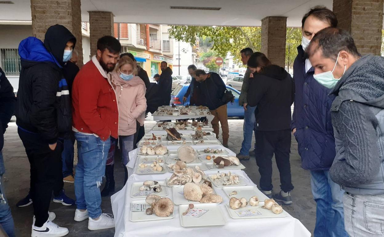 Exposición comentada en los soportales de la plaza de Comillas 