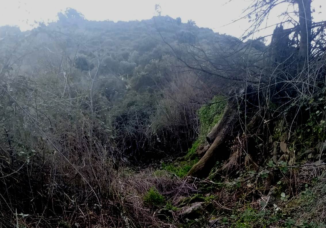 Adenex denuncia los daños producidos 