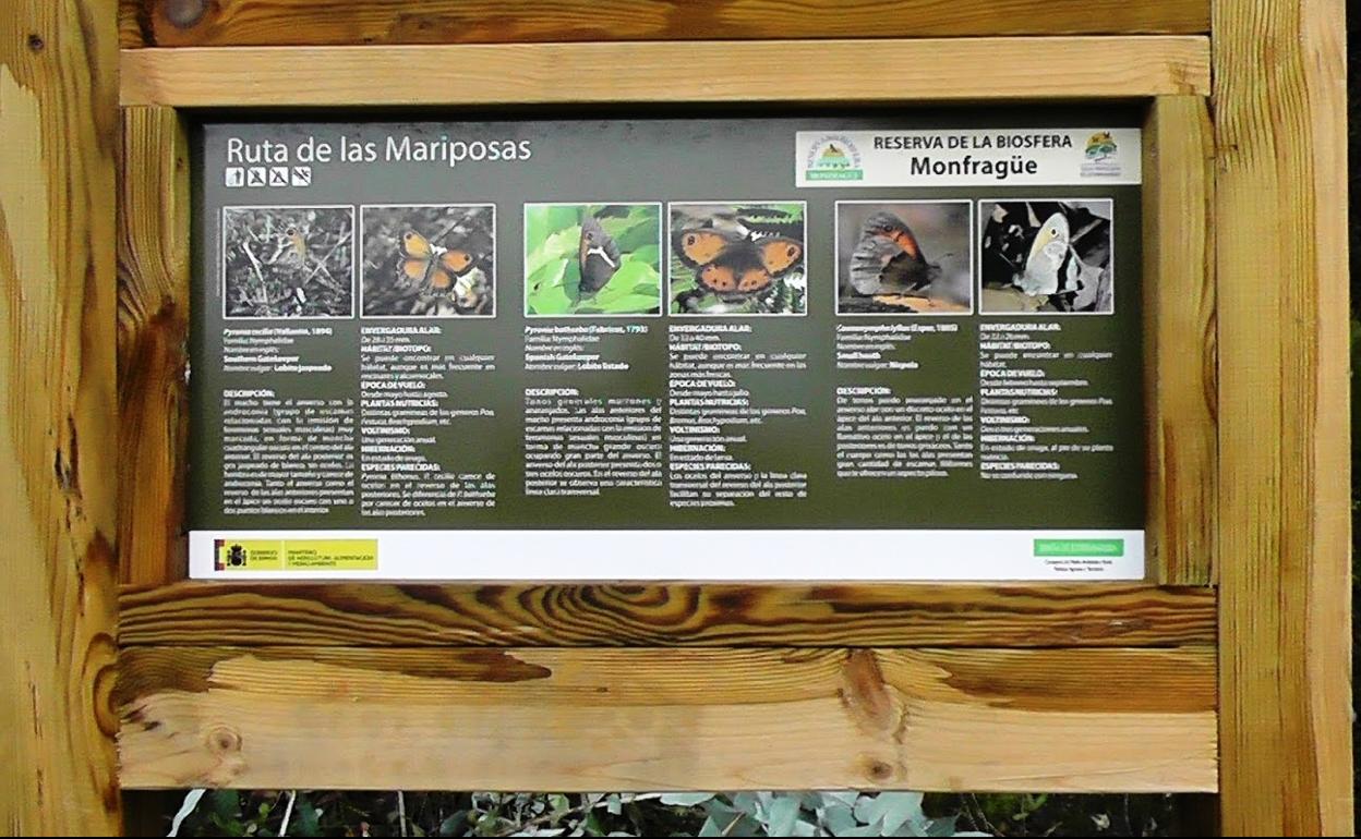 Un libro recopila las mariposas del parque de Monfragüe