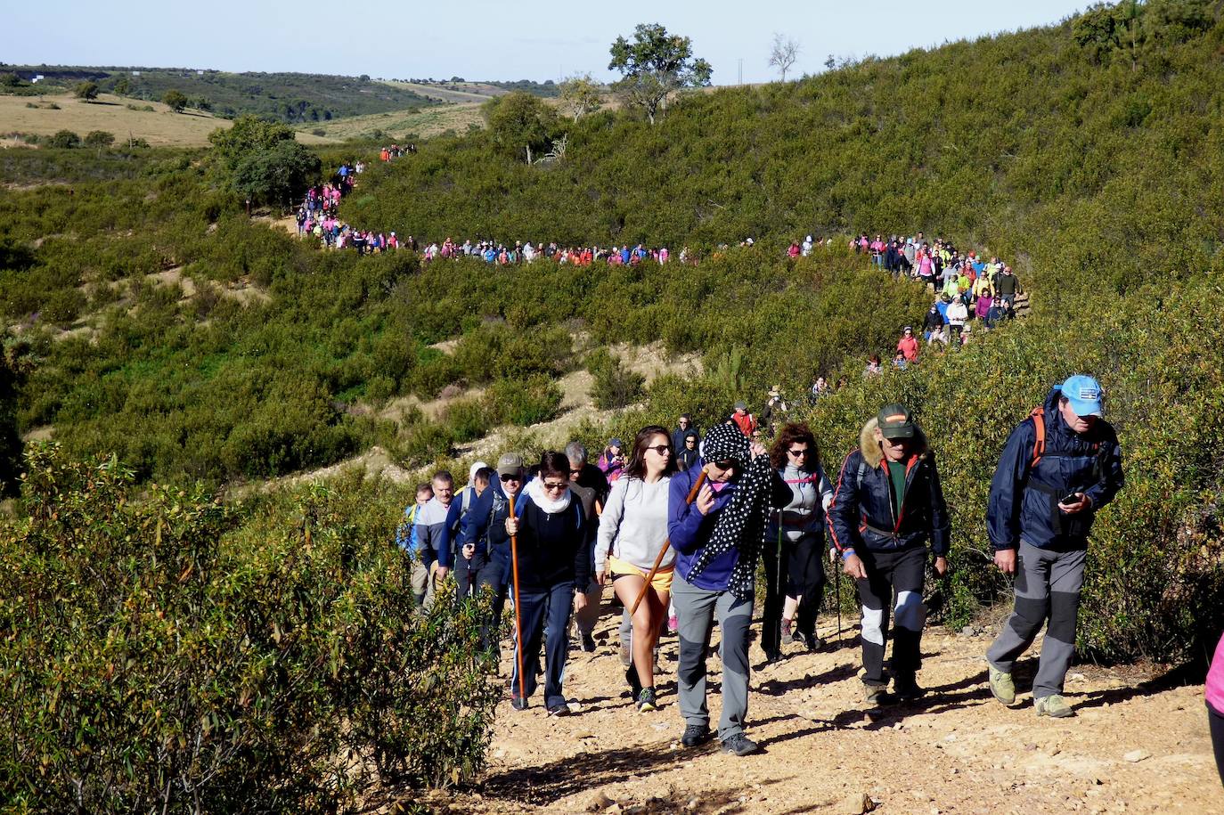 'Serpiente' senderista en dirección a Romangordo 