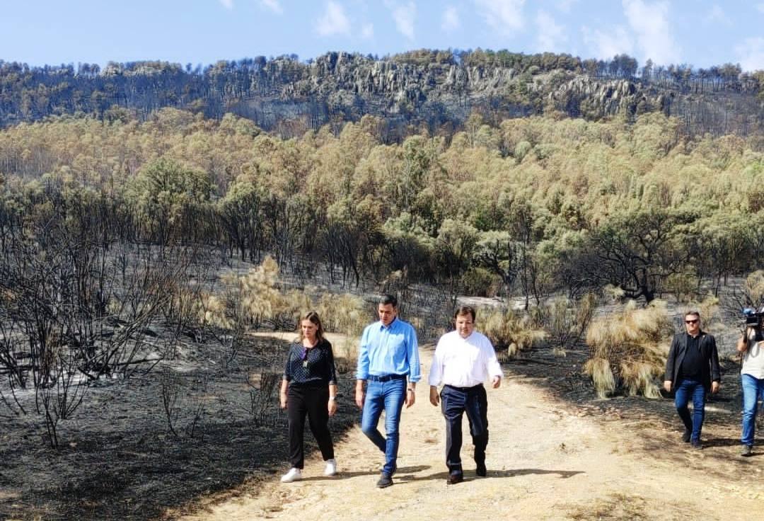Fotos: Los incendios, en imágenes