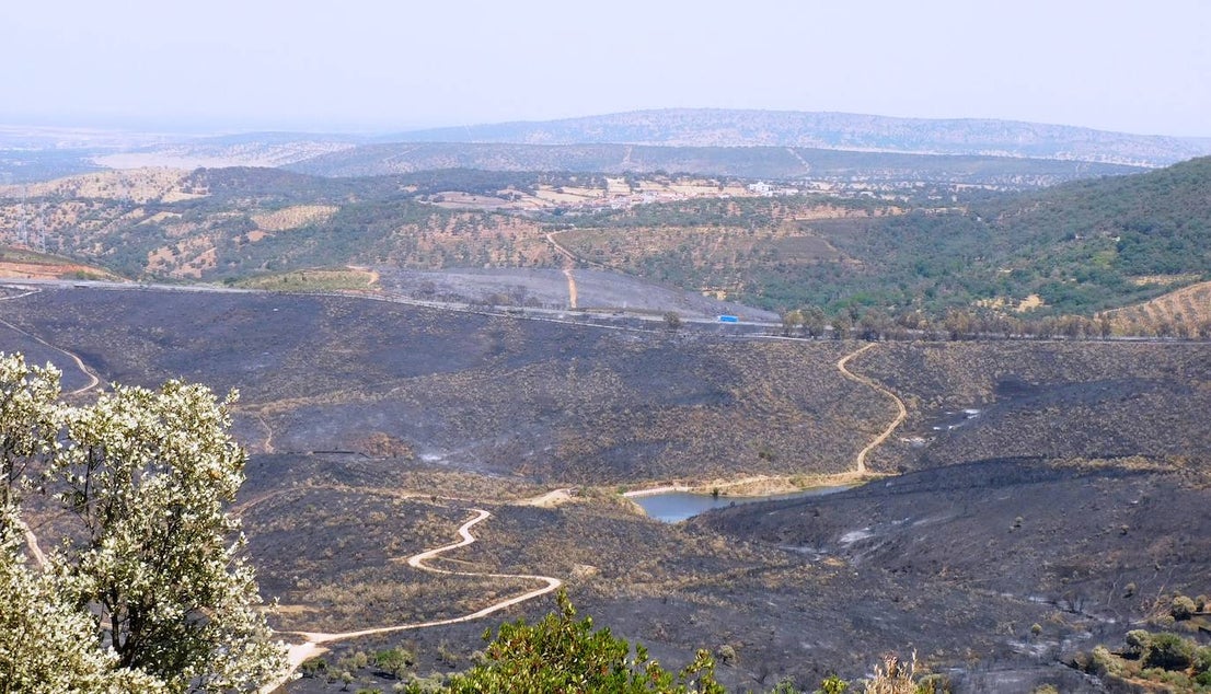 Fotos: Los incendios, en imágenes