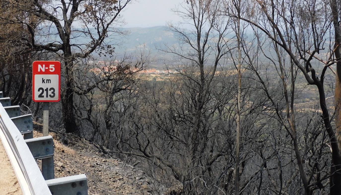 Fotos: Los incendios, en imágenes