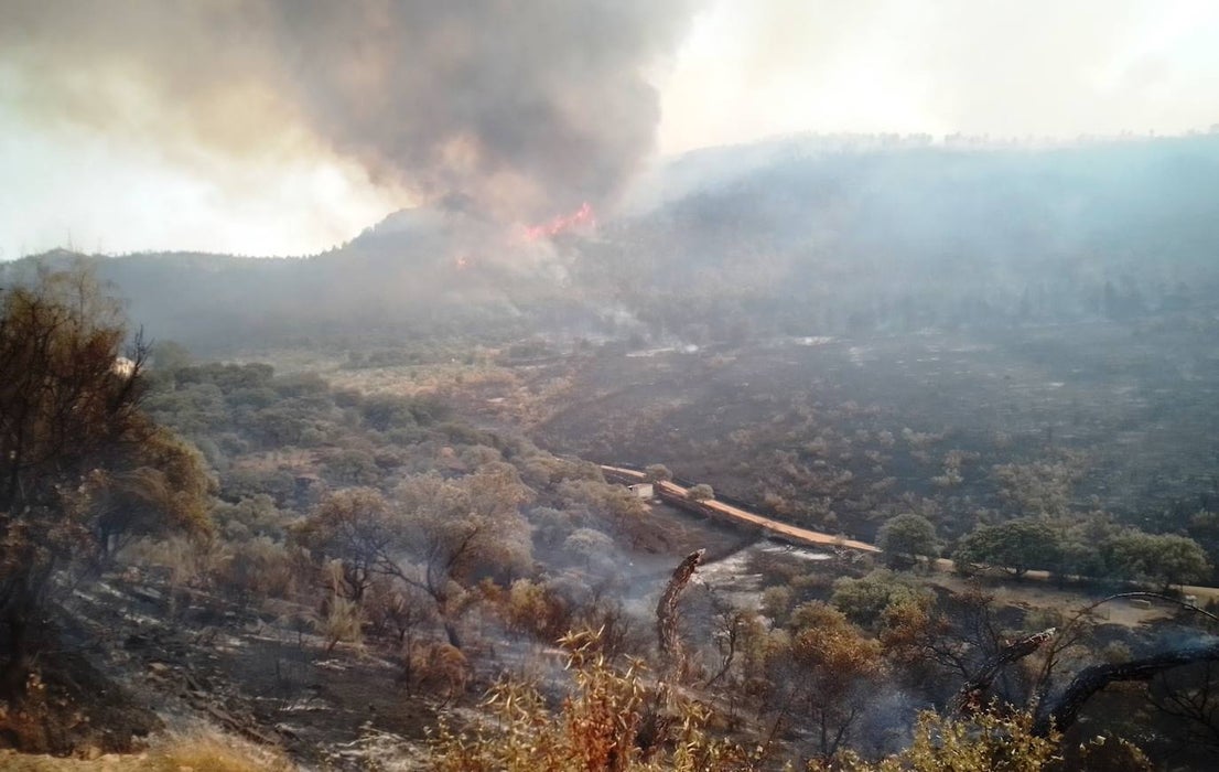 Fotos: Los incendios, en imágenes